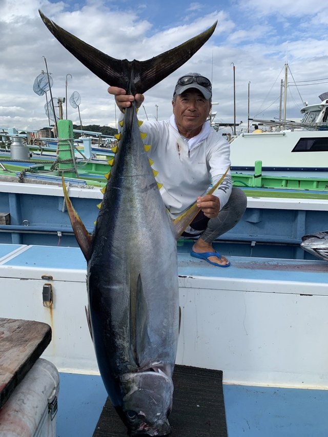 キハダマグロ(キハダ)