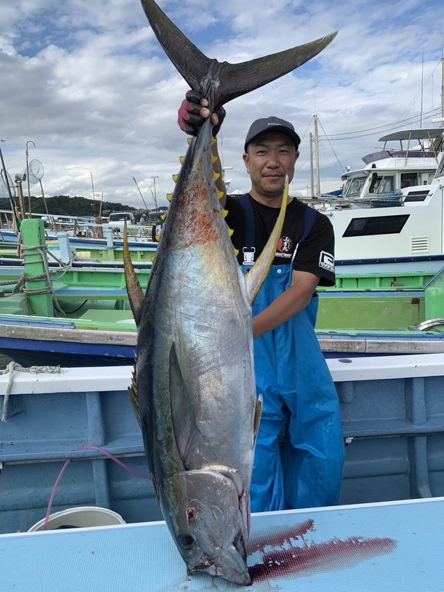 キハダマグロ(キハダ)