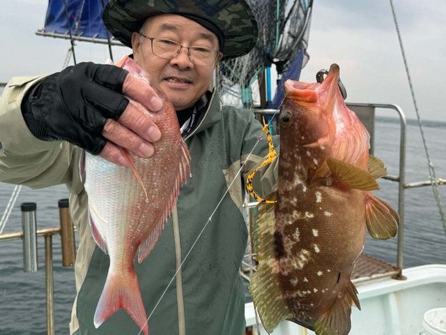 マダイ・アコウ(キジハタ)