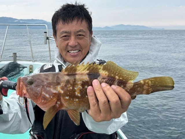 アコウ(キジハタ)