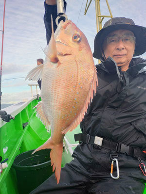 ハナダイ(チダイ)