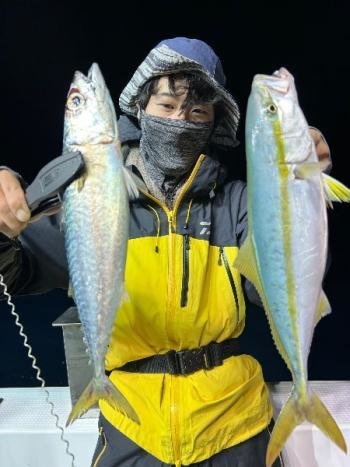 マアジ・ツバス(ブリ)