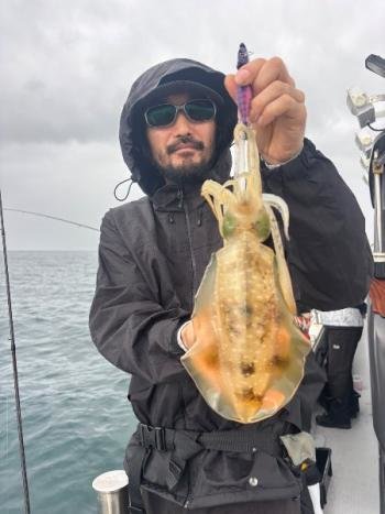 アオリ(アオリイカ)