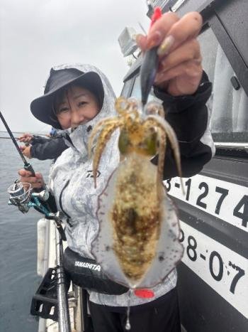 アオリ(アオリイカ)