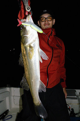 シーバス(スズキ)