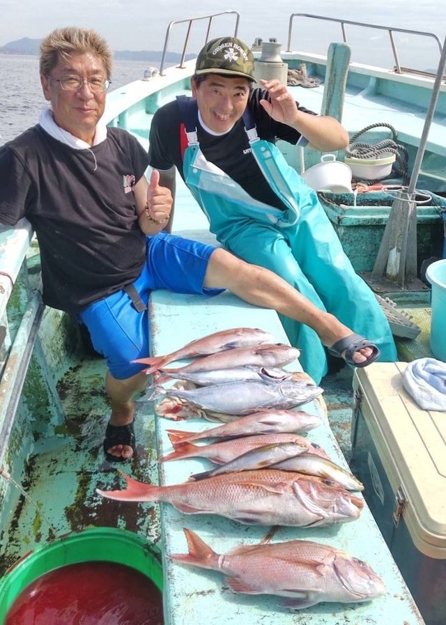 マダイ・イサキ・ヒラソウダ