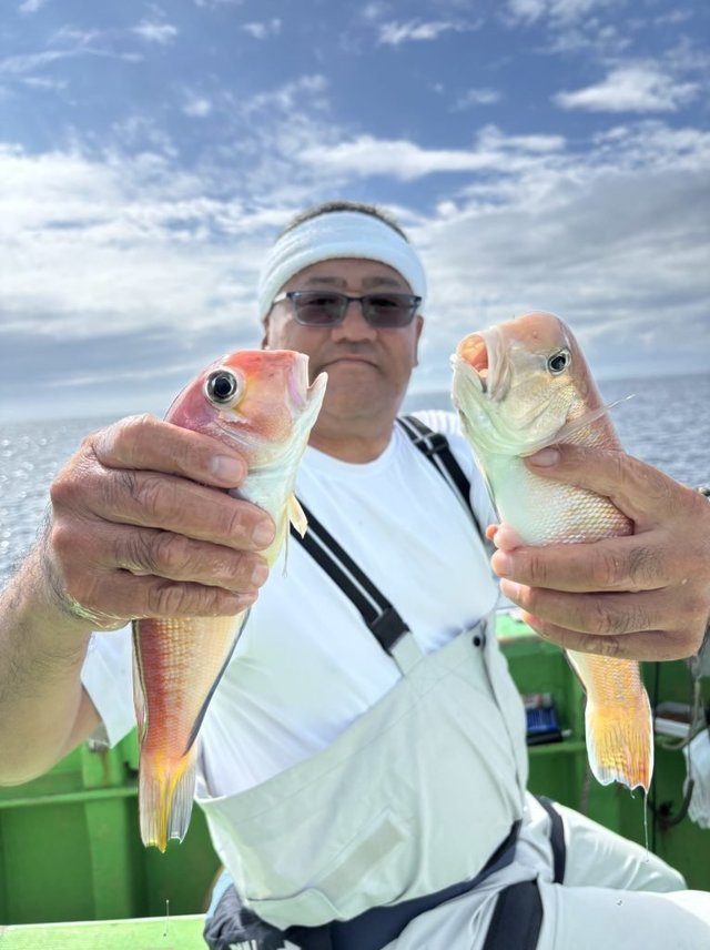 アマダイ(アカアマダイ)