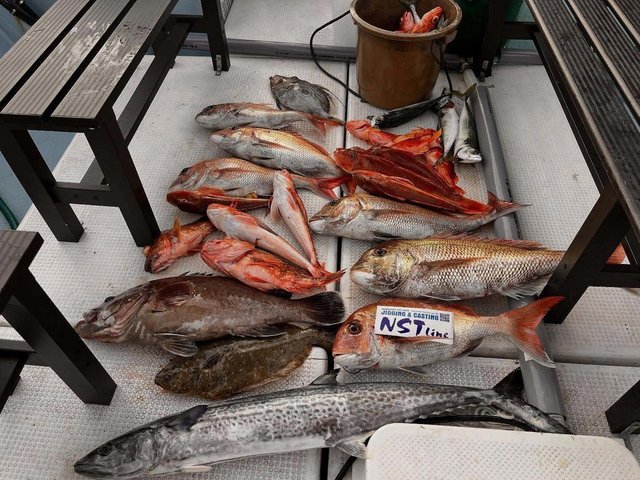 マダイ・マハタ・アジ(マアジ)・サワラ・ガシラ(カサゴ)・マトウダイ・サバ(ゴマサバ)