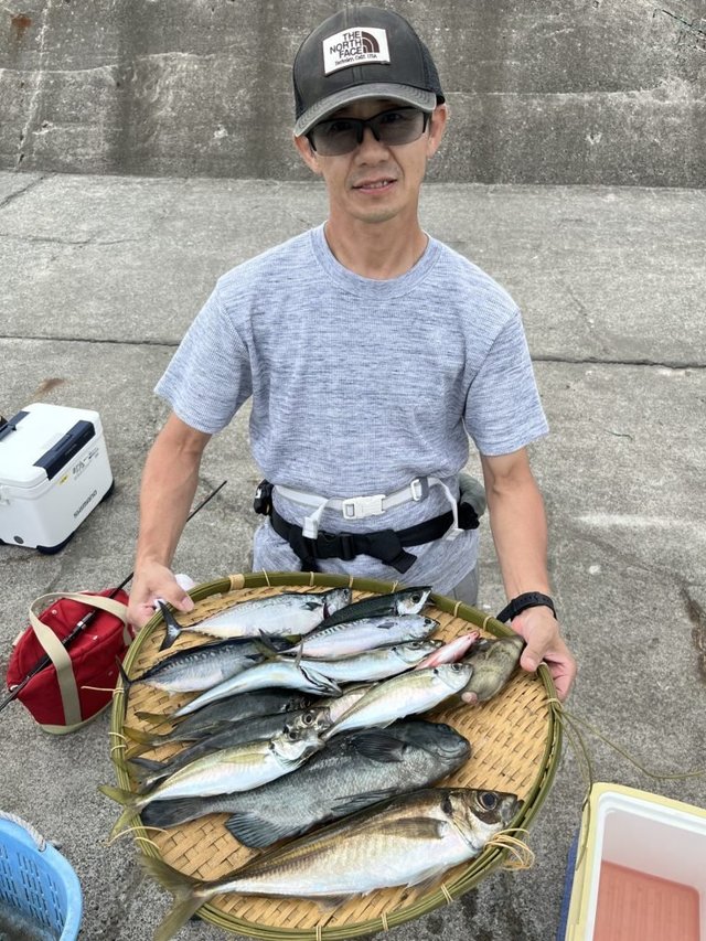 アジ(マアジ)・イナダ(ブリ)