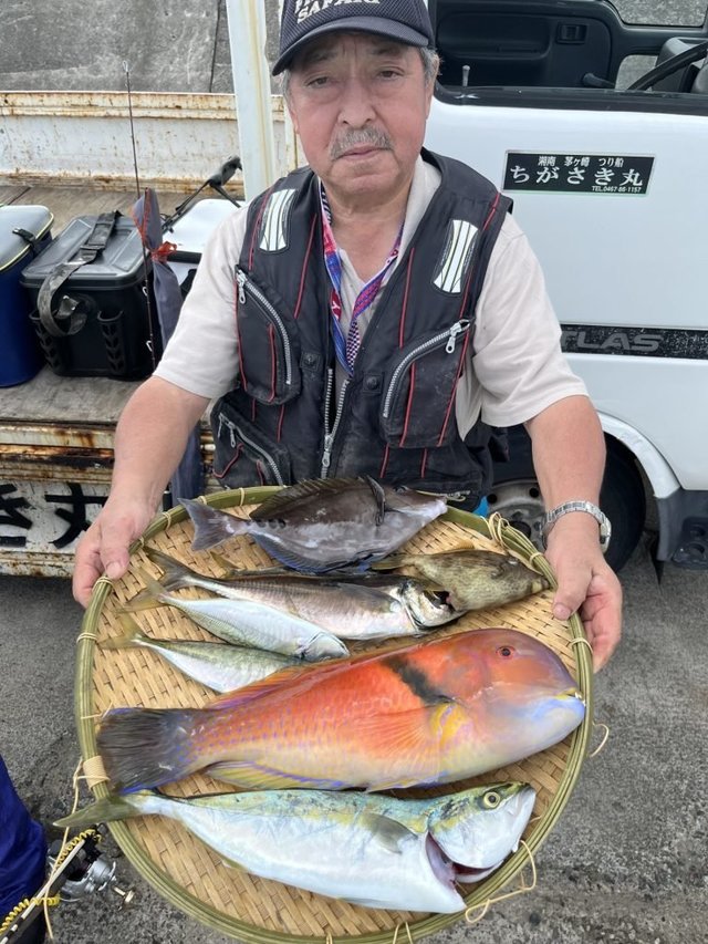 アジ(マアジ)・イナダ(ブリ)・イラ