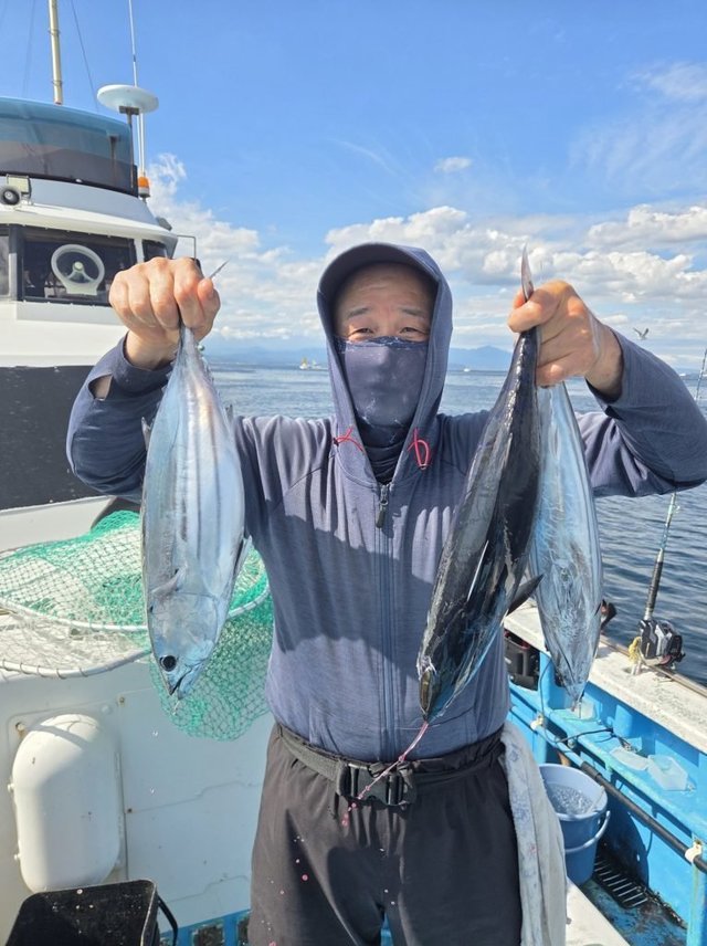 ホンカツオ(カツオ)