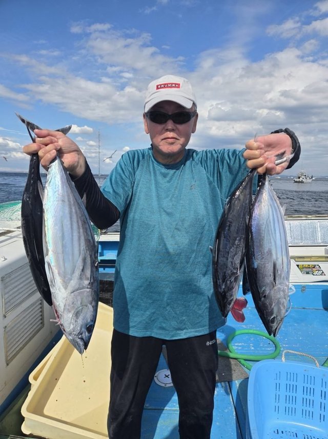 キハダマグロ(キハダ)・ホンカツオ(カツオ)