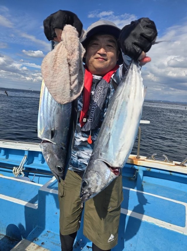 ホンカツオ(カツオ)