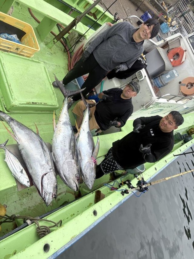 カツオ・マグロ(キハダ)