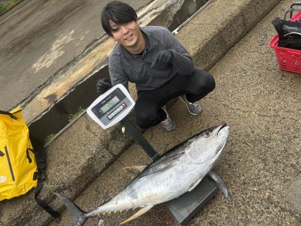 マグロ(キハダ)