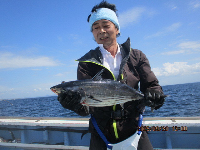 ホンガツオ(カツオ)
