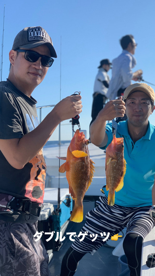 アコウ(キジハタ)