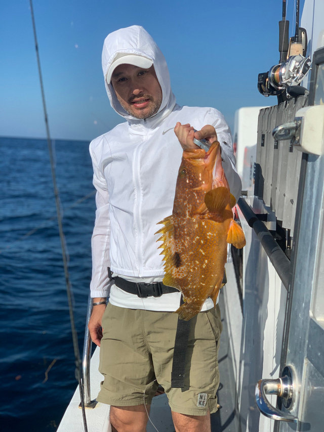 アコウ(キジハタ)