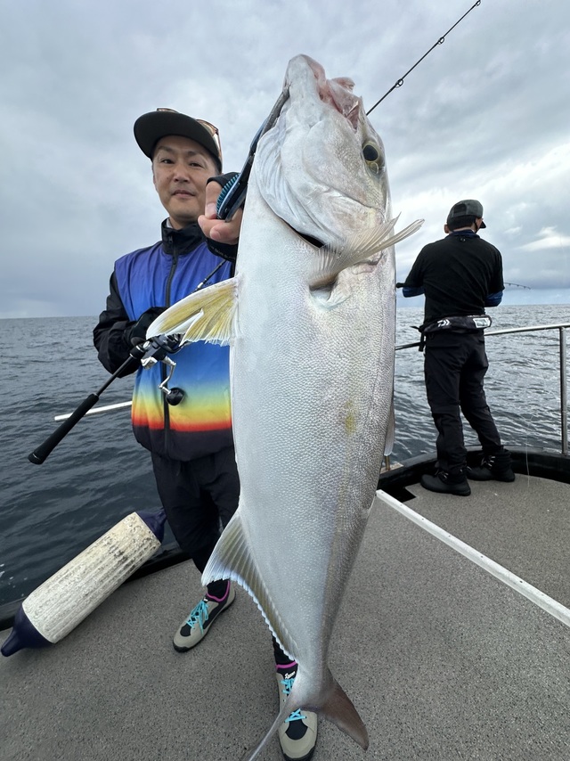 ネリゴ(カンパチ)