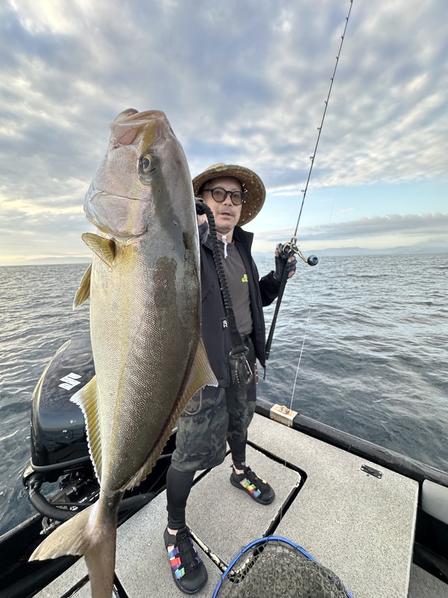 ネリゴ(カンパチ)