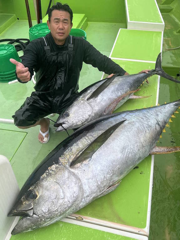 マグロ(キハダ)