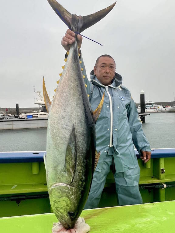 マグロ(キハダ)