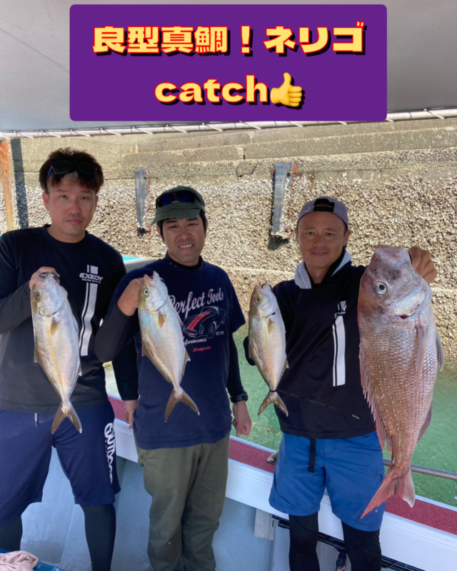 マダイ・ネリゴ(カンパチ)