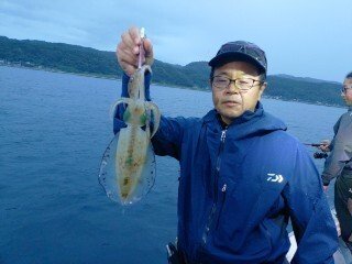 アオリ(アオリイカ)