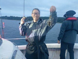 アオリ(アオリイカ)