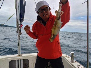 アオリ(アオリイカ)