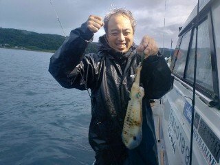 アオリ(アオリイカ)