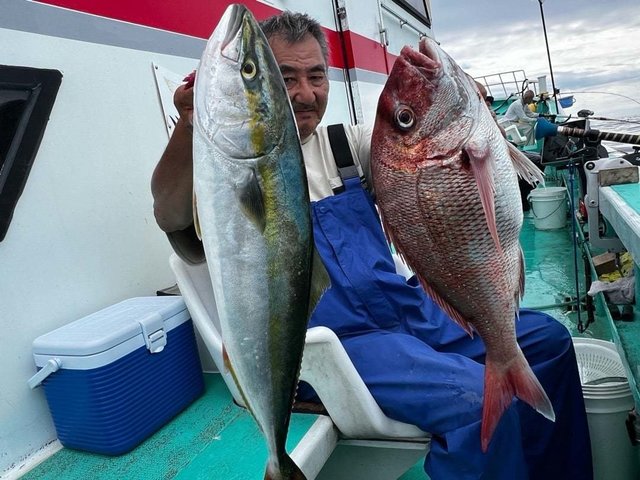 マダイ・ワラサ(ブリ)