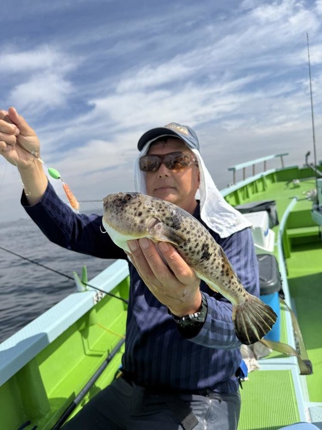 フグ(アカメフグ)