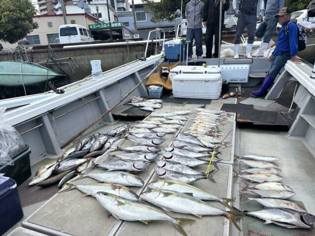 ハマチ(ブリ)・カンパチ