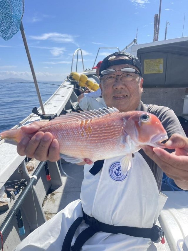 アマダイ(アカアマダイ)