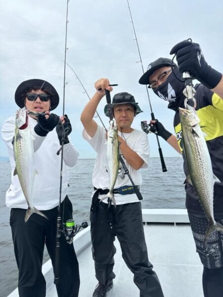 サゴシ(サワラ)