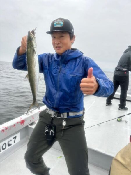 サゴシ(サワラ)