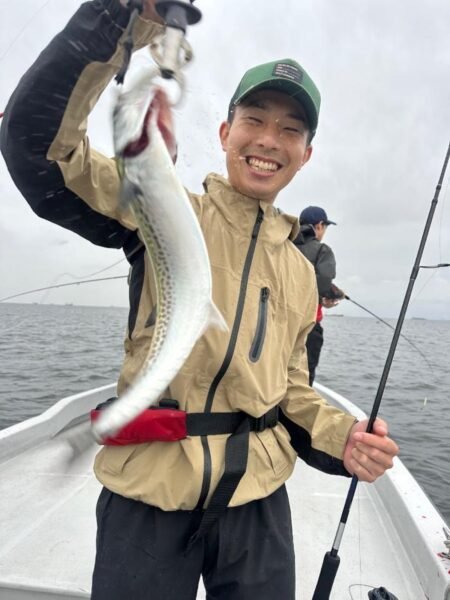 サゴシ(サワラ)