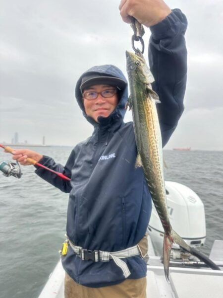 サゴシ(サワラ)