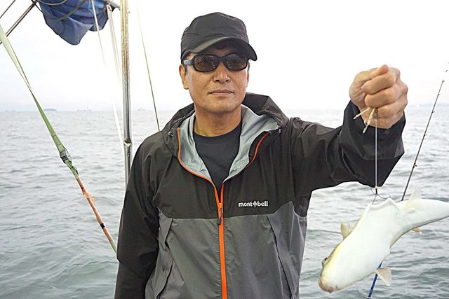 ショウサイフグ