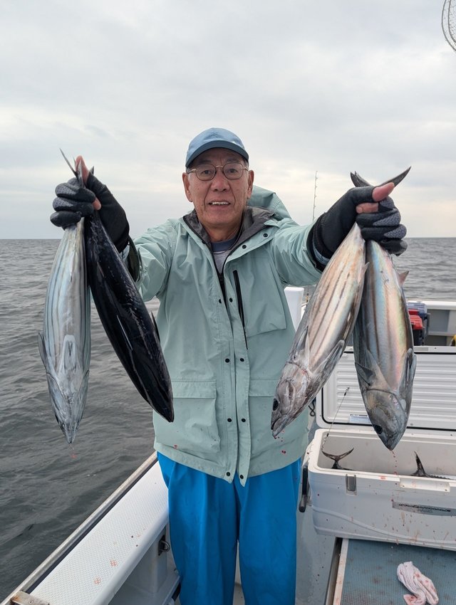 ホンガツオ(カツオ)