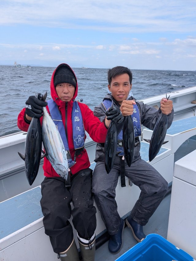 ホンガツオ(カツオ)