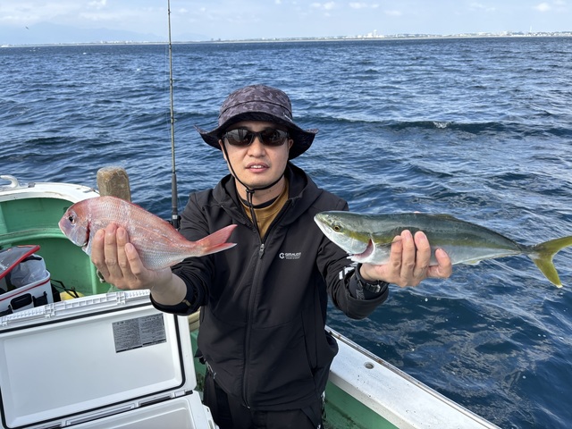 ハナダイ(チダイ)・イナダ(ブリ)