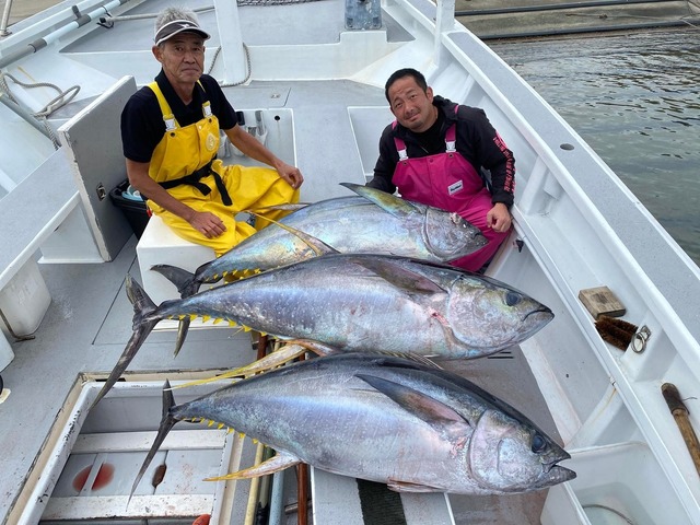 キハダマグロ(キハダ)