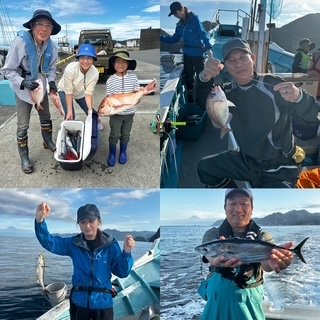 マダイ・ハナダイ(チダイ)・イサキ・カツオ