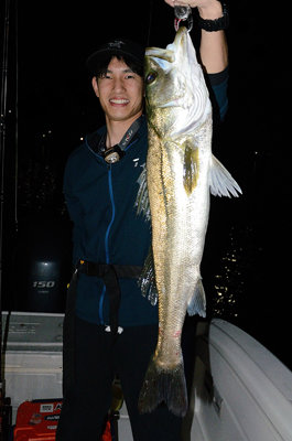 シーバス(スズキ)