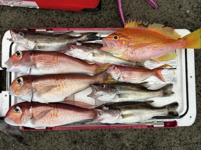 アカイサキ・アラ・アマダイ(アカアマダイ)・イトヨリ(イトヨリダイ)