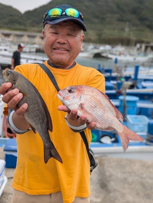 ハナダイ(チダイ)・イサキ