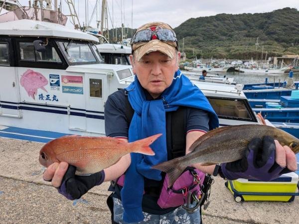 ハナダイ(チダイ)・イサキ