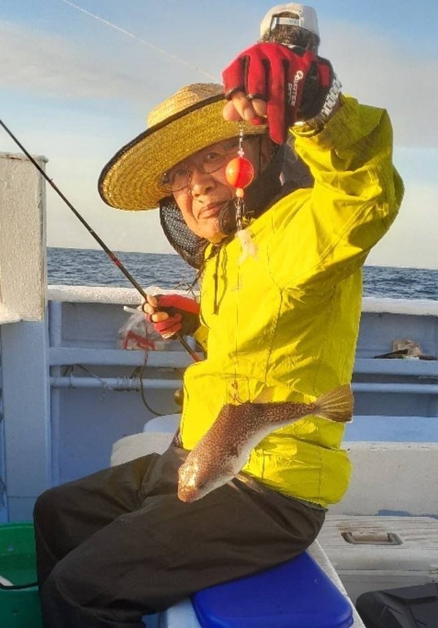 ショウサイフグ